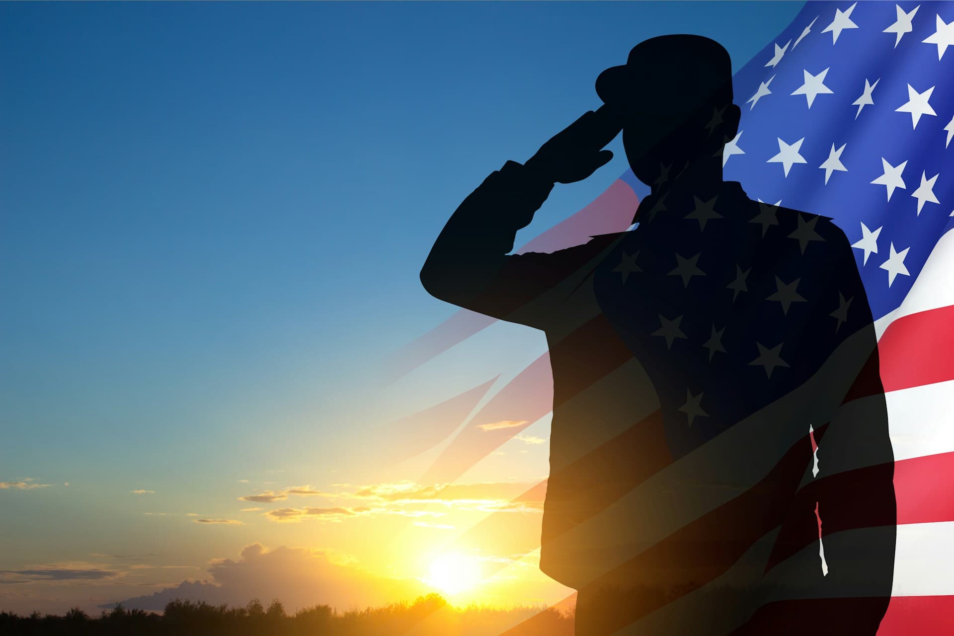 silhouette of a man saluting next to an american flag.